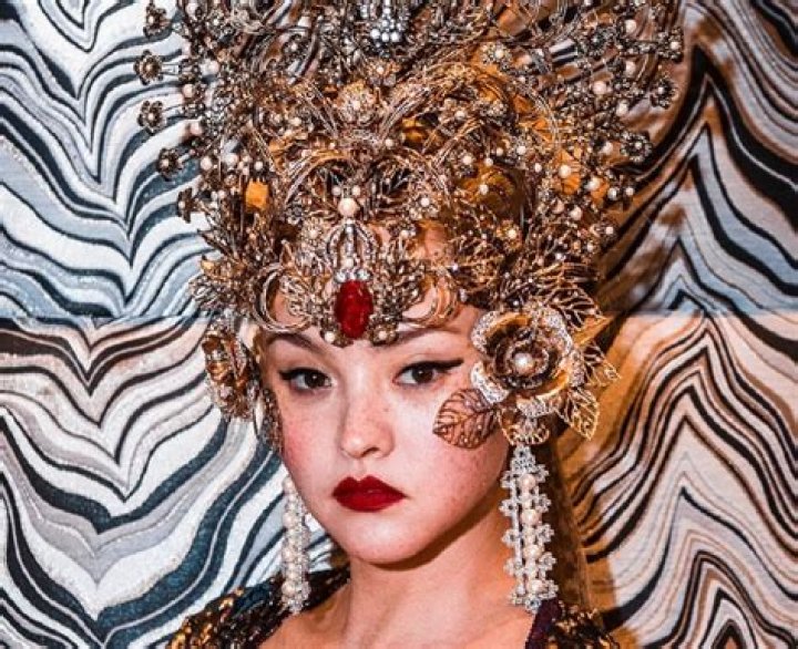Is Devon Aoki Related To Steve Aoki? Family Tree And Ethnicity